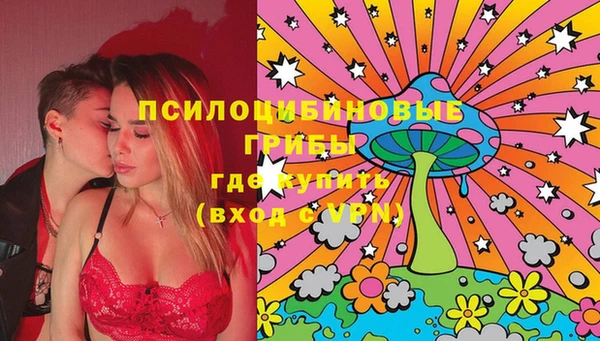 дурь Горно-Алтайск